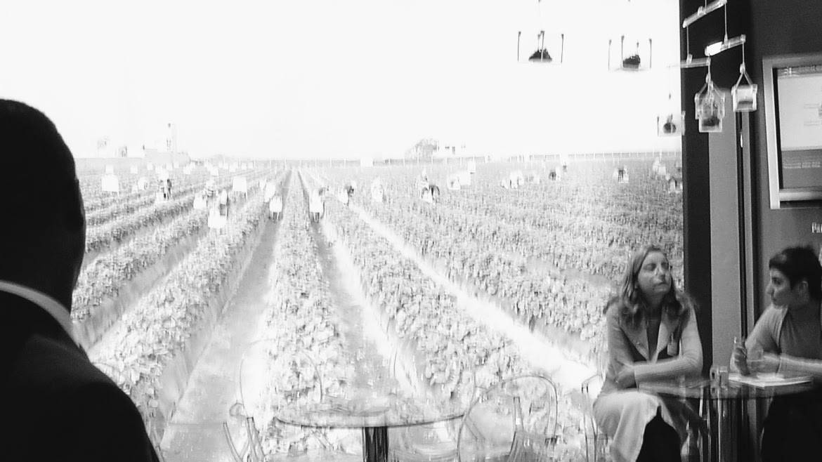 rural-campo-ciudad-2030|Autor-ppt|CapCua-300x150|Cap i Cua-2-300x300